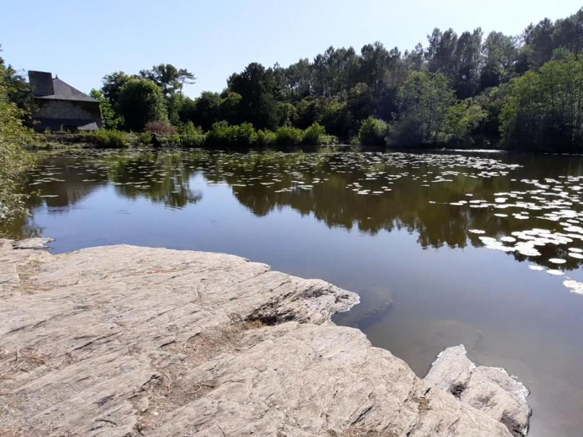 Moulin Menhirs & Zone Naturelle Protegee Saint-Just (Ille-et-Vilaine) Exterior foto