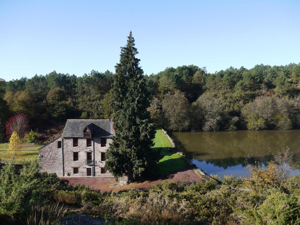 Moulin Menhirs & Zone Naturelle Protegee Saint-Just (Ille-et-Vilaine) Exterior foto