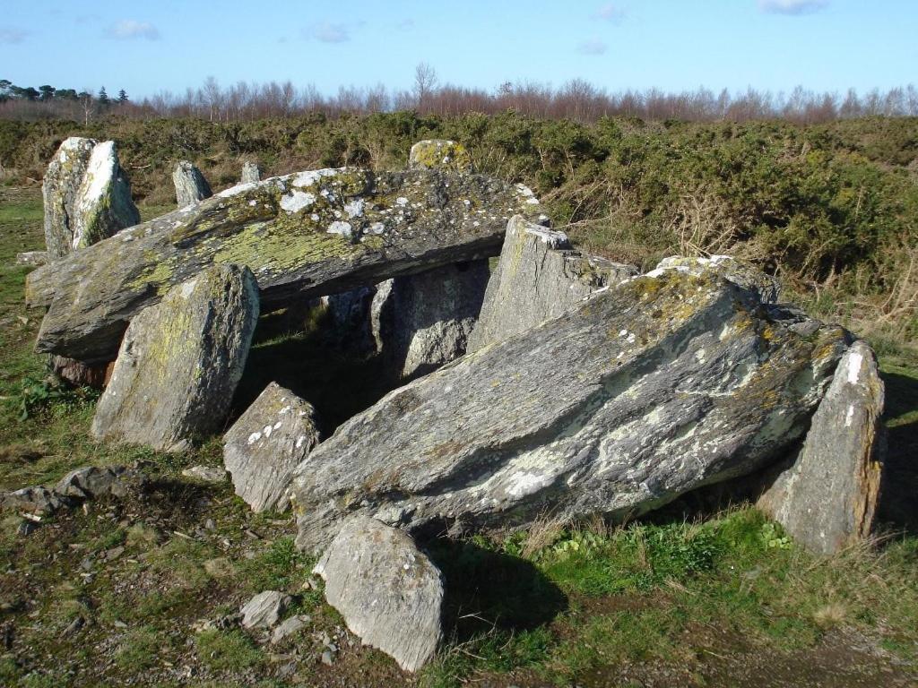 Moulin Menhirs & Zone Naturelle Protegee Saint-Just (Ille-et-Vilaine) Exterior foto